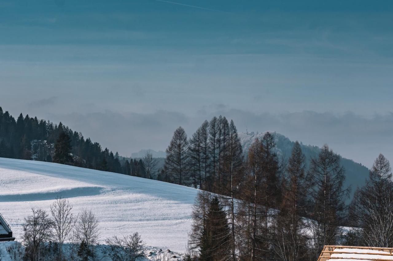 Apartmán Nasze Bukowinki Jaworki Exteriér fotografie